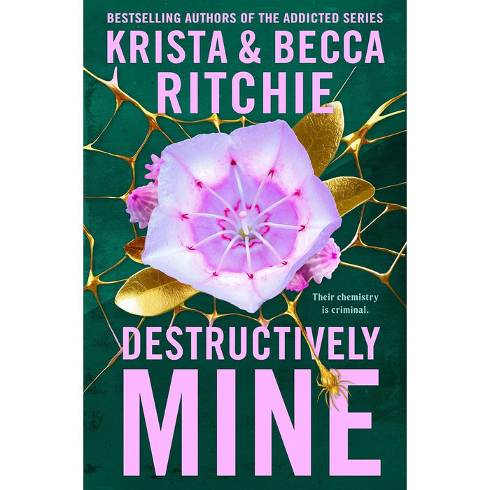 Webs We Weave Series 2 Books Collection Set by Krista & Becca Ritchie (Dishonestly Yours & Destructively Mine) - The Book Bundle