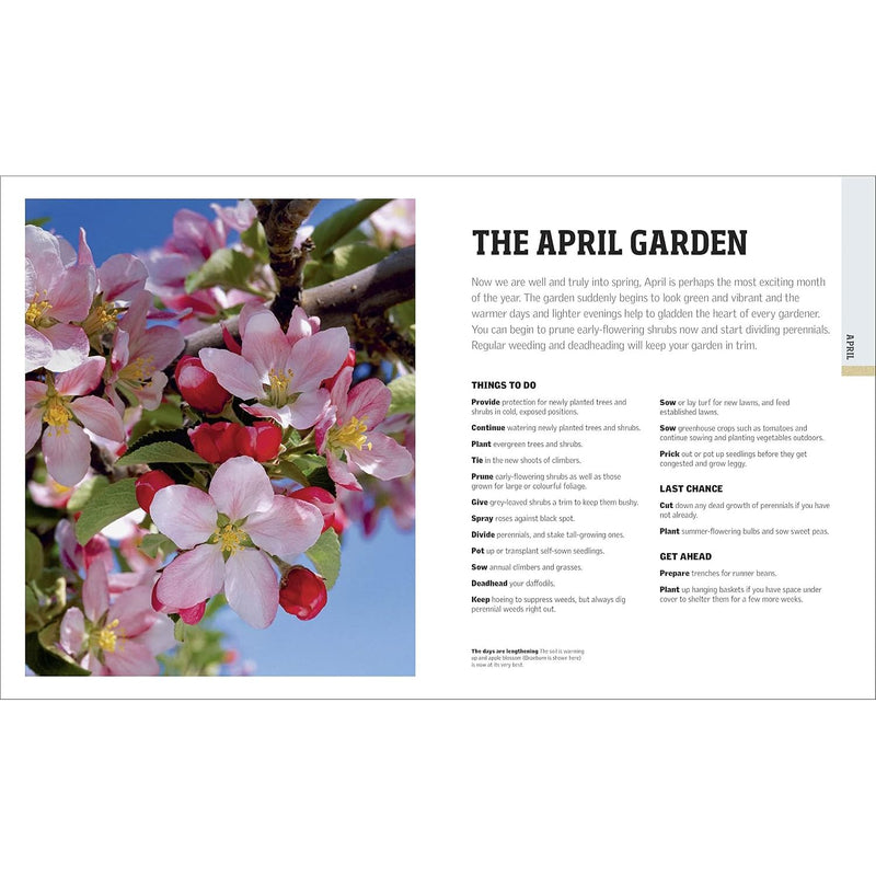 Book cover of "RHS Gardening Through the Year" by DK, featuring colorful garden illustrations and month-by-month planning tips.