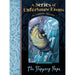 The Slippery Slope: A Series of Unfortunate Events by Lemony Snicket - The Book Bundle