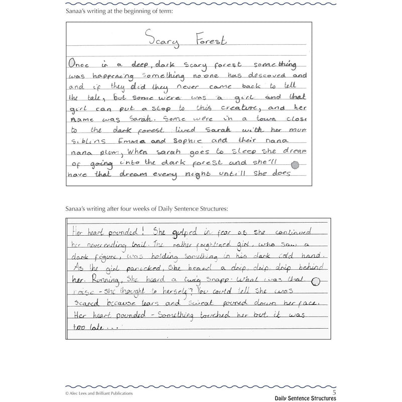 Daily Sentence Structures: 15 minutes a day towards better writing by Alec Lees - The Book Bundle