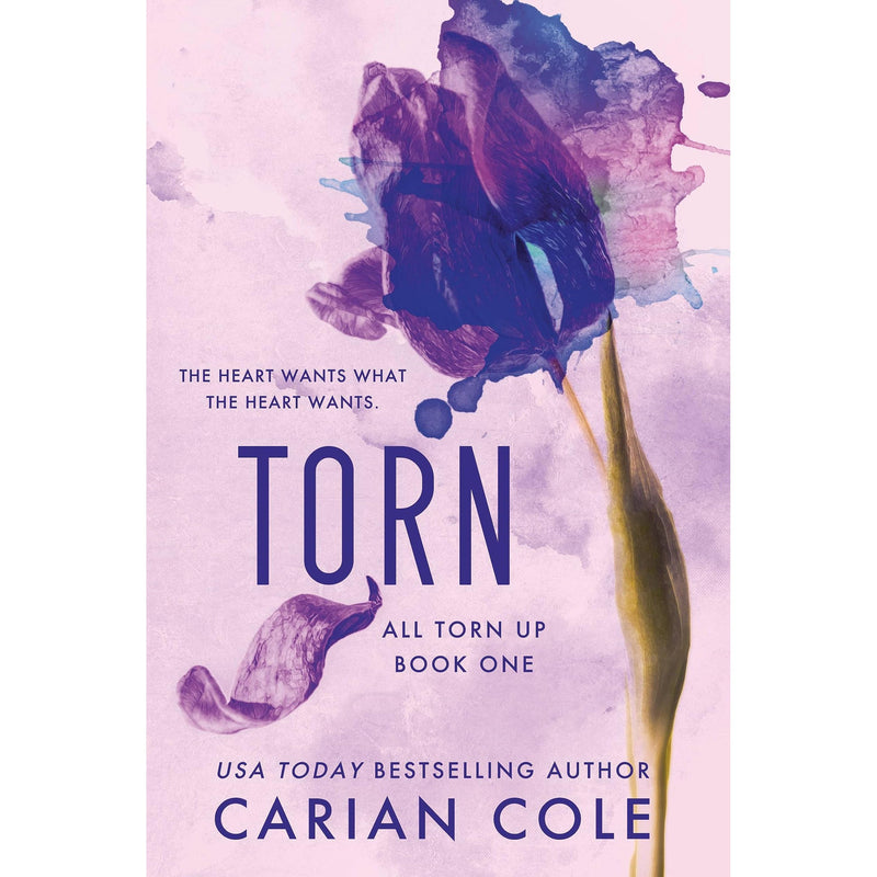 Paperback copy of "Torn: All Torn Up Book 1" by WLK, a fiction novel in the first series edition with a colorful cover design.