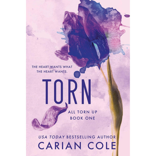 Paperback copy of "Torn: All Torn Up Book 1" by WLK, a fiction novel in the first series edition with a colorful cover design.