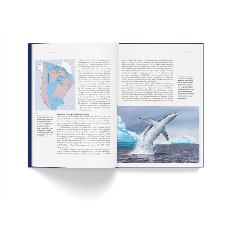 Ancient Sea Reptiles: Plesiosaurs, ichthyosaurs, mosasaurs and more by Darren Naish