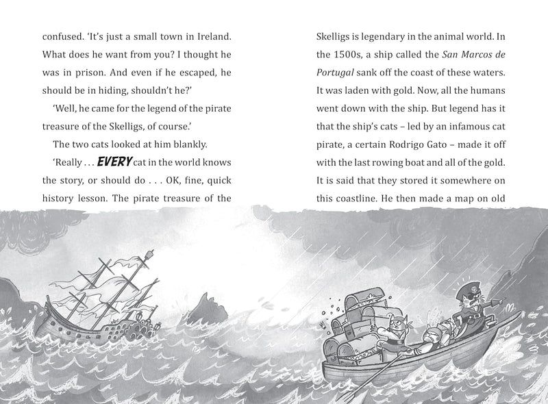 Toto the Ninja Cat and the Pirate Treasure Hunt by Dermot O'Leary - Fiction - Paperback