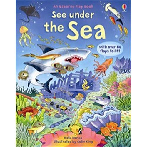 See Inside Weather and Climate and Related Reads by Usborne 3 Books Collection Set - Non Fiction - Paperback - The Book Bundle