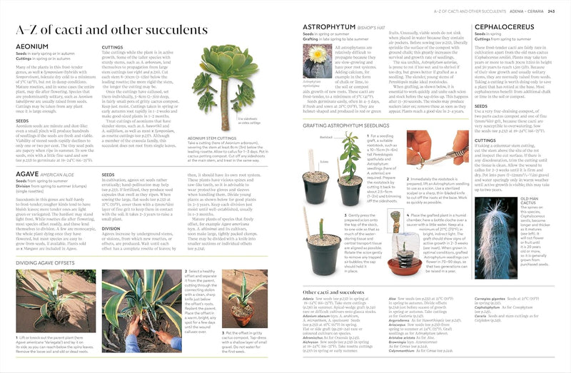 RHS Propagating Plants: How to Create New Plants For Free