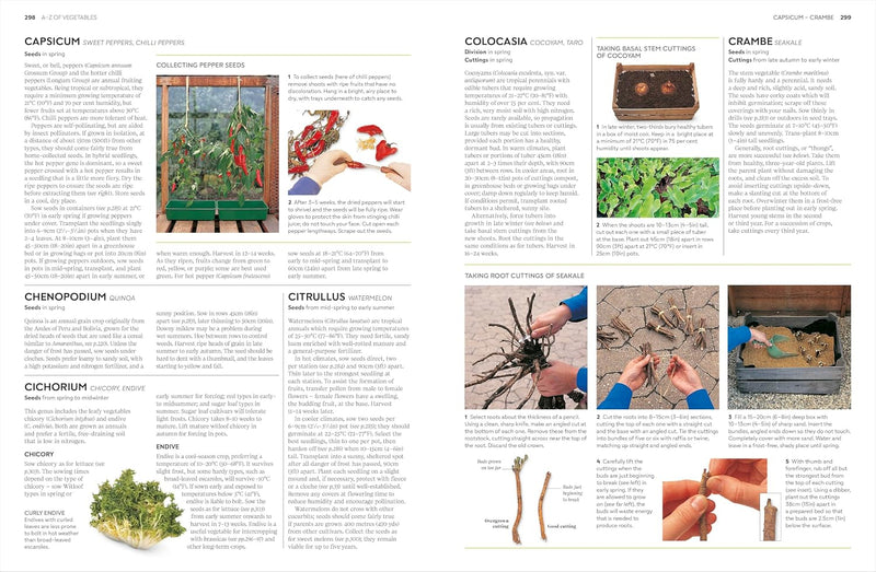 RHS Propagating Plants: How to Create New Plants For Free