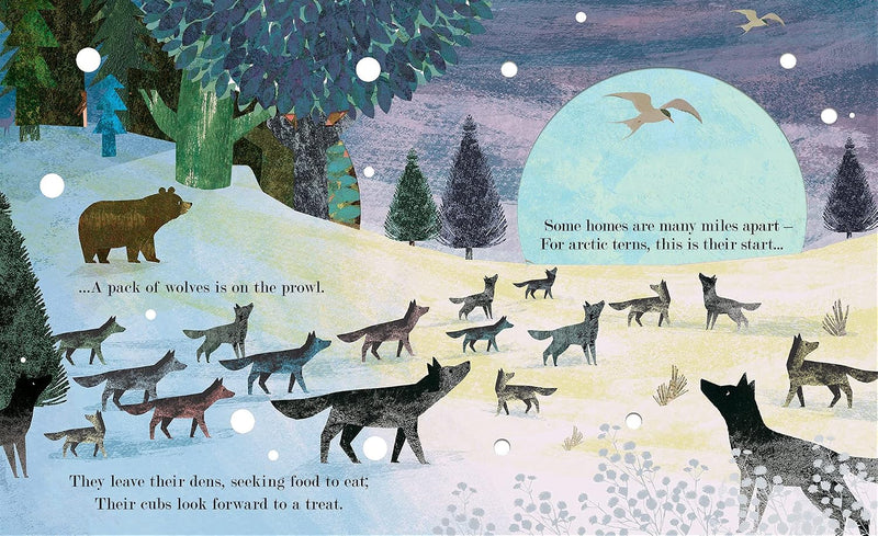 Home: Where Our Story Begins (Peek-Through Nature) by Britta Teckentrup, Patricia Hegarty - Fiction - Paperback