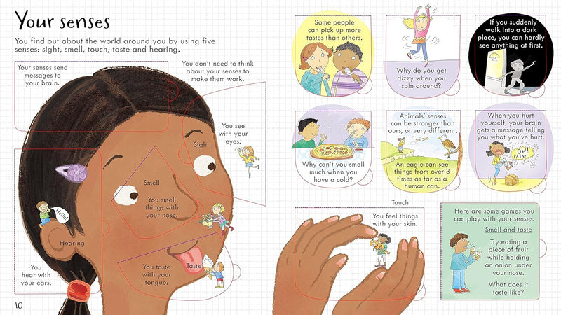 Look Inside Your Body (Look Inside Board Books) by Louie Stowell - Ages 5+ - Board Book - The Book Bundle