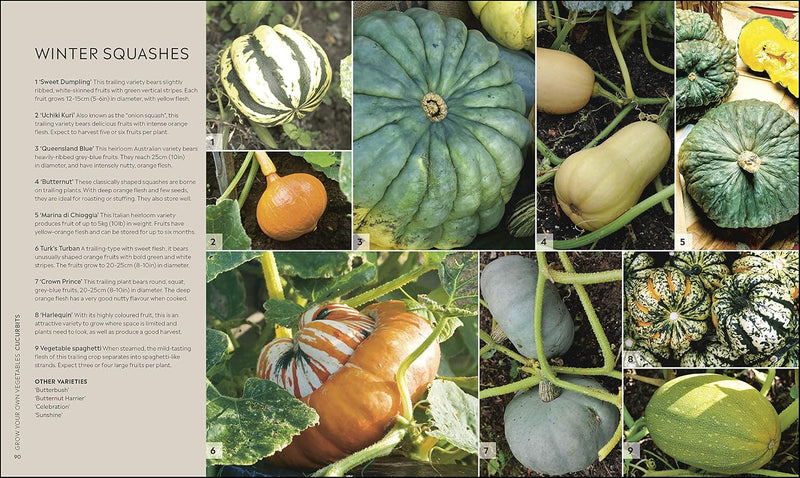 RHS Step-by-Step Veg Patch: A Foolproof Guide to Every Stage of Growing Fruit and Veg