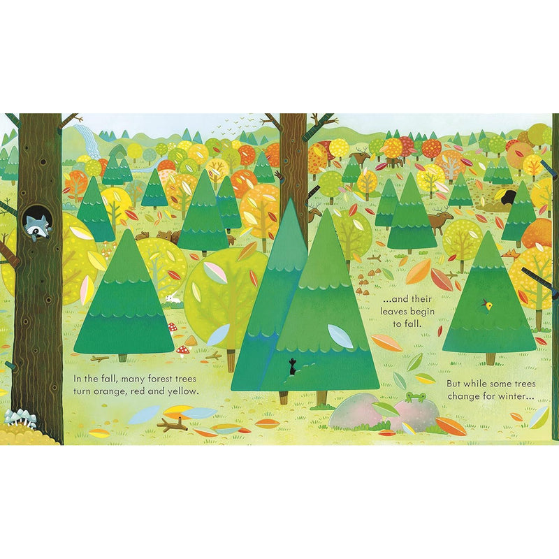 Open children’s board book "Peep Inside the Forest" by Anna Milbourne, featuring colorful forest scenes and animal illustrations.