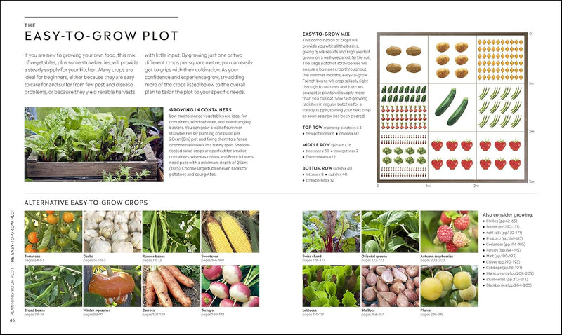 RHS Step-by-Step Veg Patch: A Foolproof Guide to Every Stage of Growing Fruit and Veg