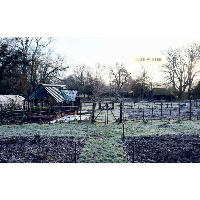 From Seed to Bloom: A Year of Growing and Designing With Seasonal Flowers by Milli Proust ( - The Book Bundle