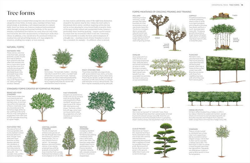 RHS Pruning and Training: What, When, and How to Prune Over 800 Plants by RHS - Non Fiction