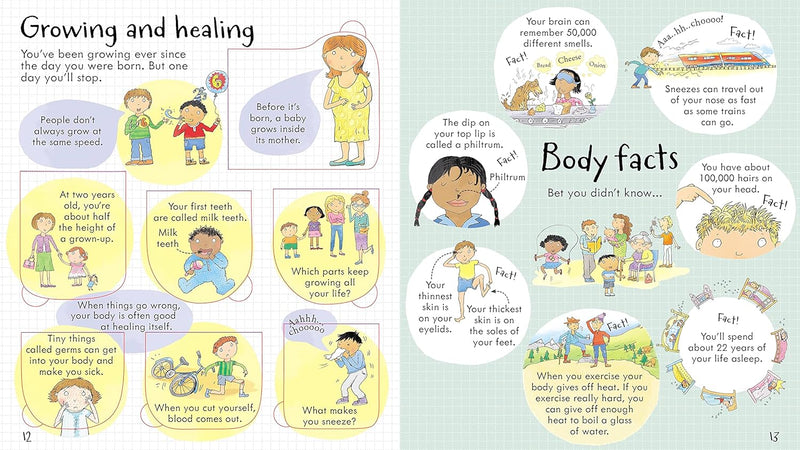 Look Inside Your Body (Look Inside Board Books) by Louie Stowell - Ages 5+ - Board Book - The Book Bundle