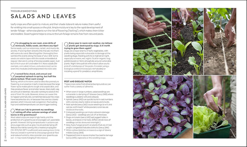 RHS Step-by-Step Veg Patch: A Foolproof Guide to Every Stage of Growing Fruit and Veg