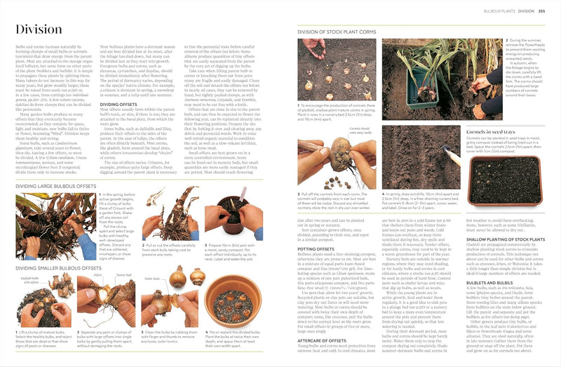RHS Propagating Plants: How to Create New Plants For Free