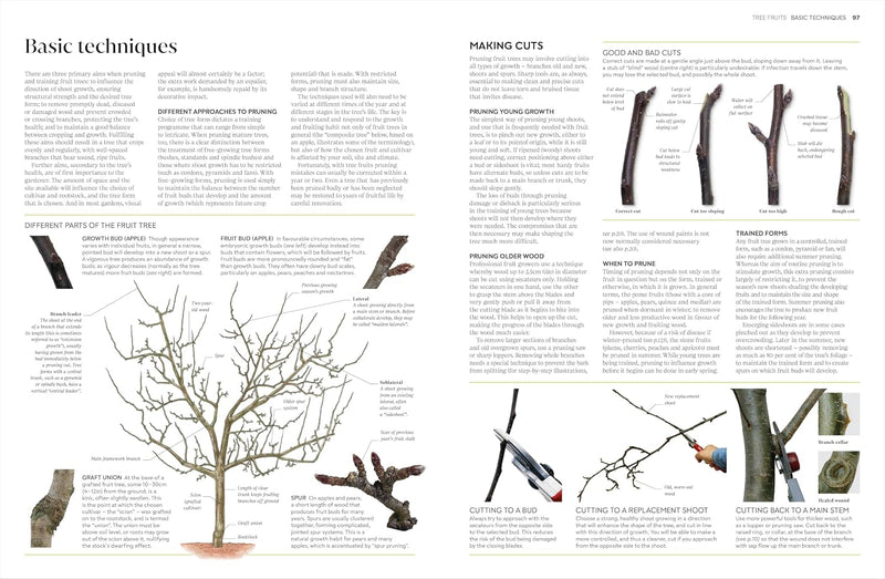 RHS Pruning and Training: What, When, and How to Prune Over 800 Plants by RHS - Non Fiction