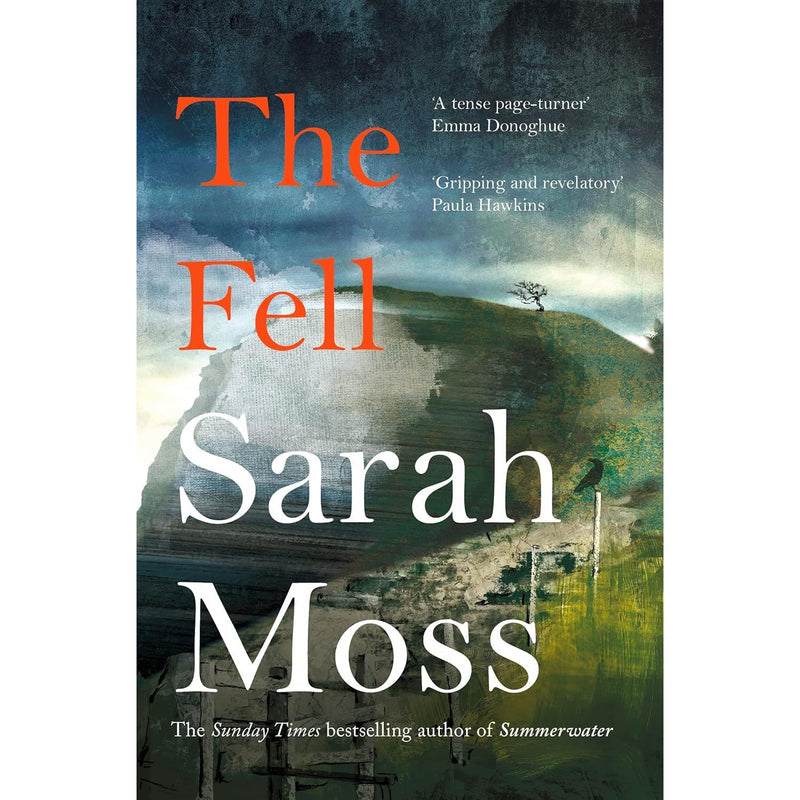 Sarah Moss Collection 4 Books Set (The Fell, Summerwater, Bodies of Light, Night Waking) - The Book Bundle