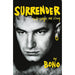 Surrender: Bono Autobiography: 40 Songs, One Story by Bono Hardcover - The Book Bundle