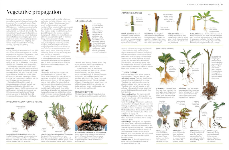 RHS Propagating Plants: How to Create New Plants For Free