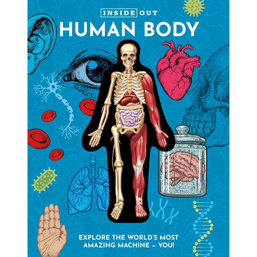 Inside Out Human Body: Explore the World's Most Amazing Machine - You! (Inside Out, Chartwell) by Luann Columbo - The Book Bundle