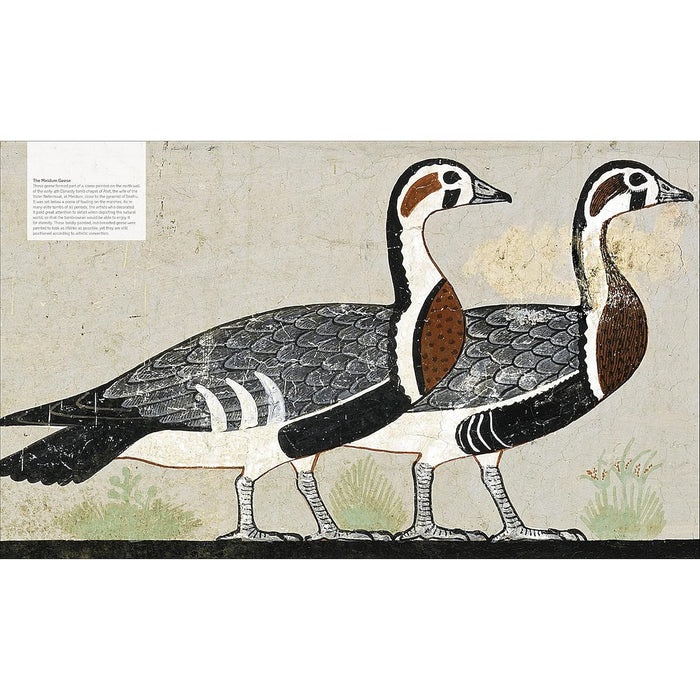 Ancient Egypt: The Definitive Visual History by DK Hardcover - The Book Bundle