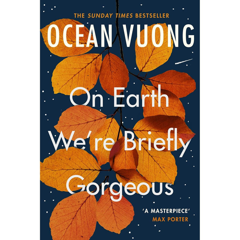 On Earth We're Briefly Gorgeous: ‘A masterpiece’ – Max Porter - The Book Bundle