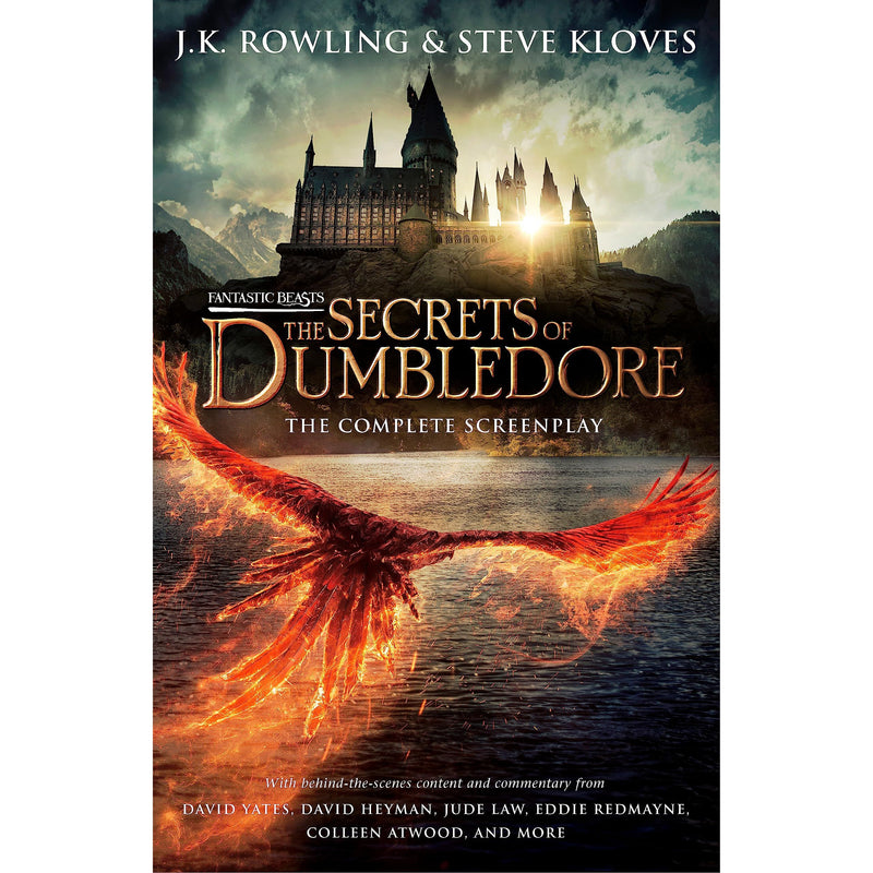 Paperback of Fantastic Beasts: The Secrets of Dumbledore screenplay by Little, Brown, featuring the book cover with magical artwork.