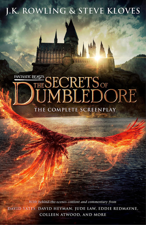 Paperback of Fantastic Beasts: The Secrets of Dumbledore screenplay by Little, Brown, featuring the book cover with magical artwork.