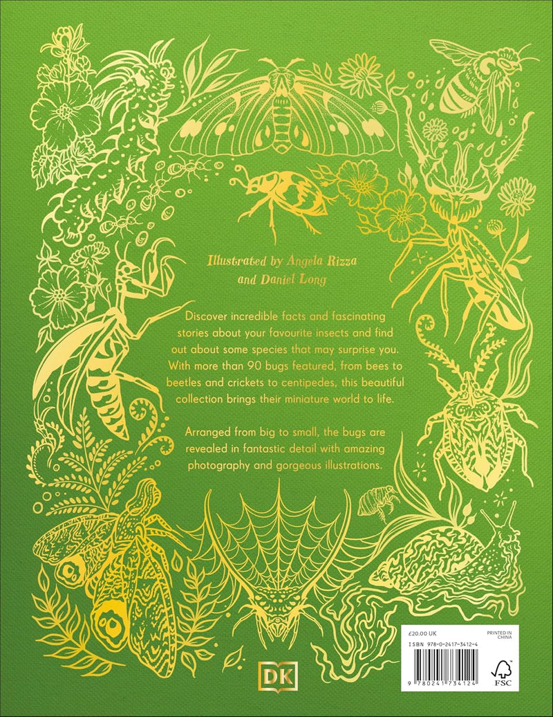 DK Children's Anthologies An Anthology of Remarkable Bugs - Insect World - Non Fiction