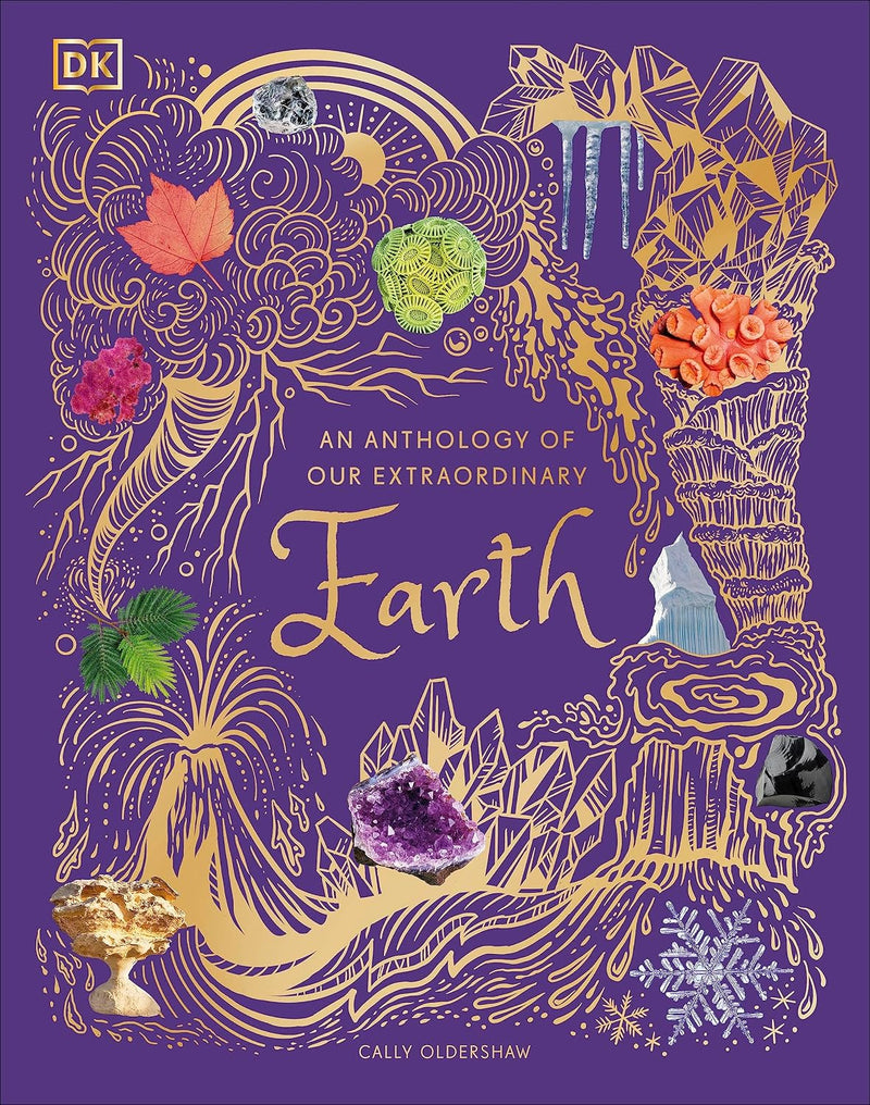 Remarkable Bugs, Our Extraordinary Earth & Exquisite Birds 3 Books Collection Set by DK - Non Fiction - Hardcover