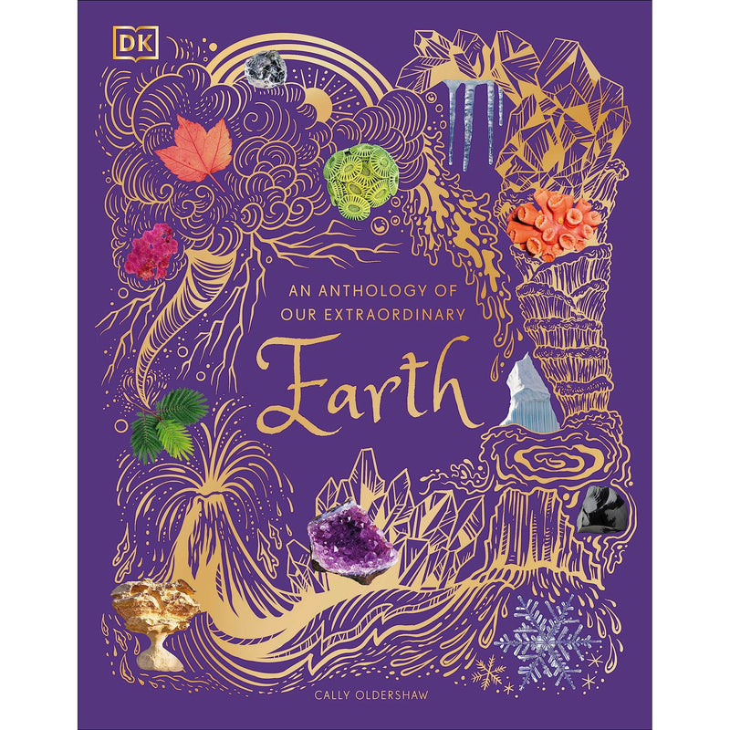 Children's book cover titled "An Anthology of Our Extraordinary Earth" by DK Children, showcasing stunning natural landscapes and Earth wonders.