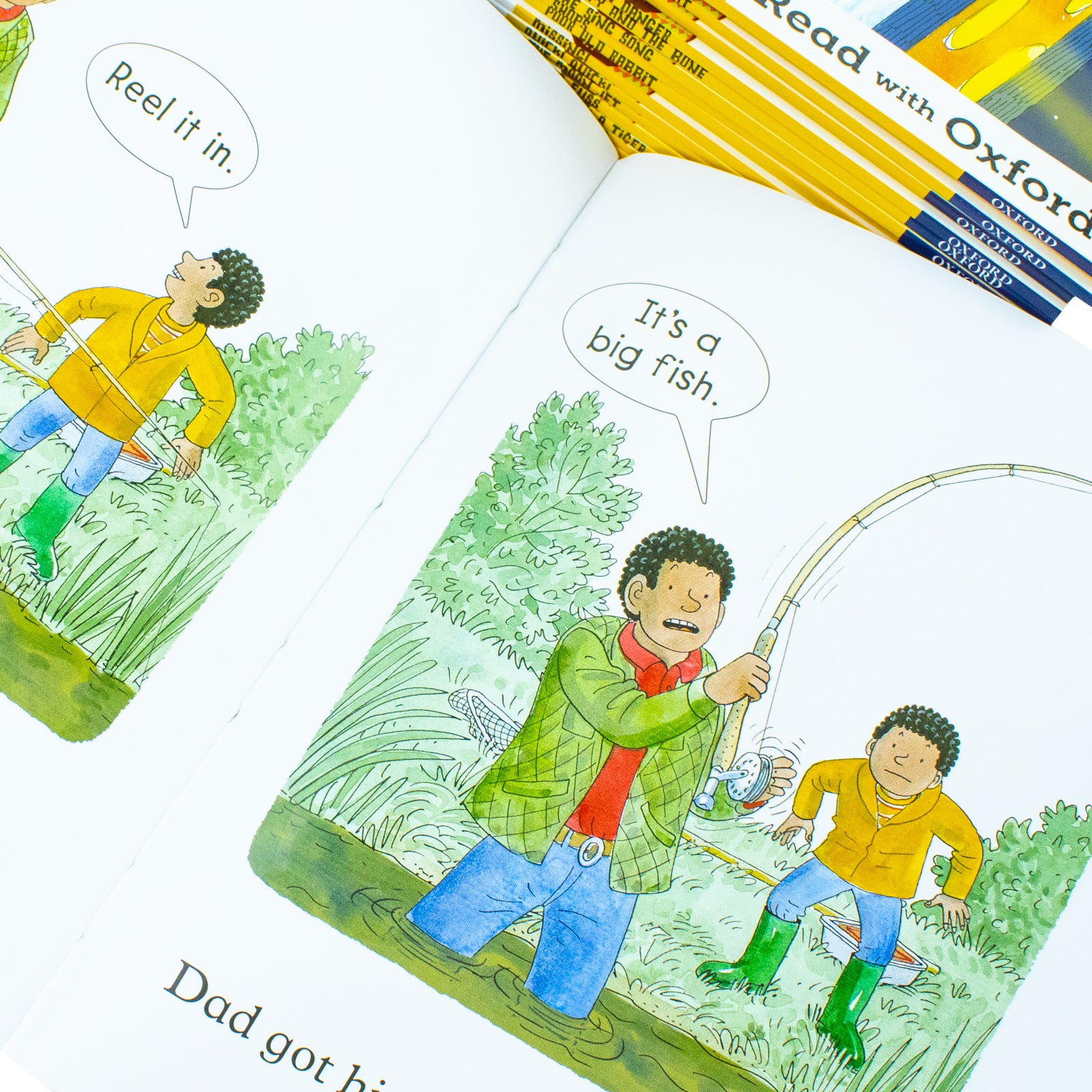 【専用】Biff, Chip & Kipper 【STAGE4&5】16冊×2 Biff, Chip & Kipper Read with Oxford (Stage-5) 16 Books Set By
