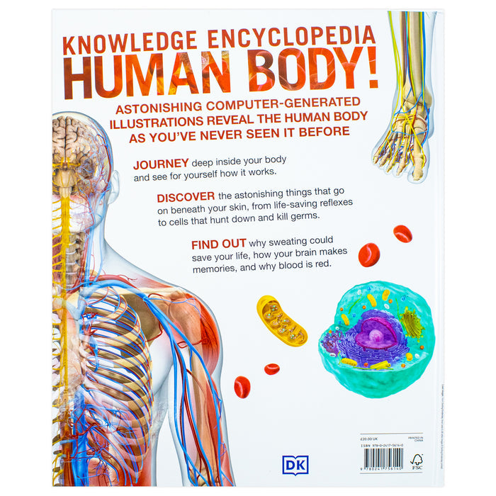 Knowledge Encyclopedia Human Body! (Knowledge Encyclopedias) Hardcover - The Book Bundle
