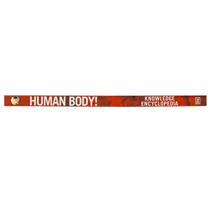 Knowledge Encyclopedia Human Body! (Knowledge Encyclopedias) Hardcover - The Book Bundle