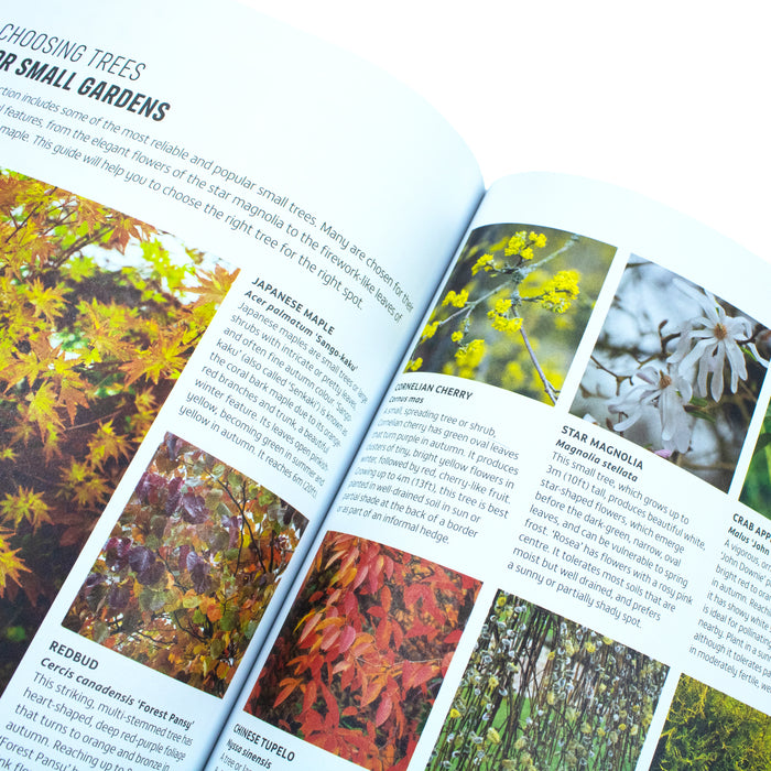 RHS How to Garden When You're New to Gardening: The Basics for Absolute Beginners  Hardcover - The Book Bundle