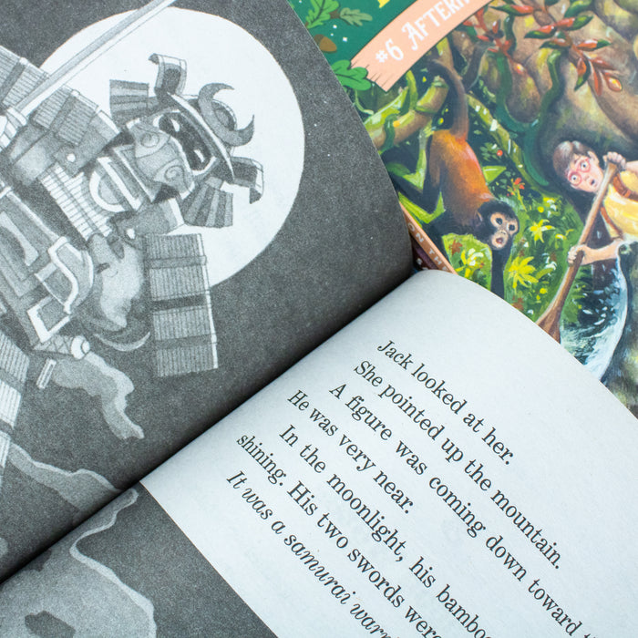 Magic Tree House Volumes 5-8 Boxed Set: Night of the Ninjas / Afternoon on the Amazon / Sunset of the Sabertooth / Midnight on the Moon (Magic Tree House (R)) - The Book Bundle