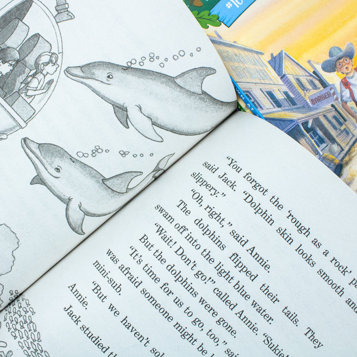 Magic Tree House Volumes 9-12 Boxed Set (Magic Tree House Collection) - The Book Bundle