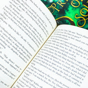 Hundred Kingdoms Novels Collection 2 Books Set (To Kill a Kingdom & Princess of Souls) - The Book Bundle