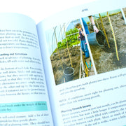 The Polytunnel Book: Fruit and Vegetables All Year Round by Joyce Russell and Ben Russell - The Book Bundle
