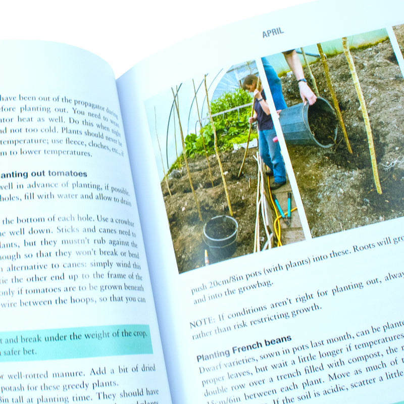 The Polytunnel Book: Fruit and Vegetables All Year Round by Joyce Russell and Ben Russell - The Book Bundle