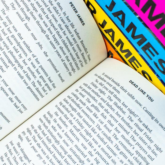 Roy Grace Series Book 6-10 Collection 5 Books Set By Peter James(Set 2) (Dead Like You) - The Book Bundle