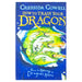 How to Train Your Dragon: How to Betray a Dragon's Hero: Book 11 - The Book Bundle