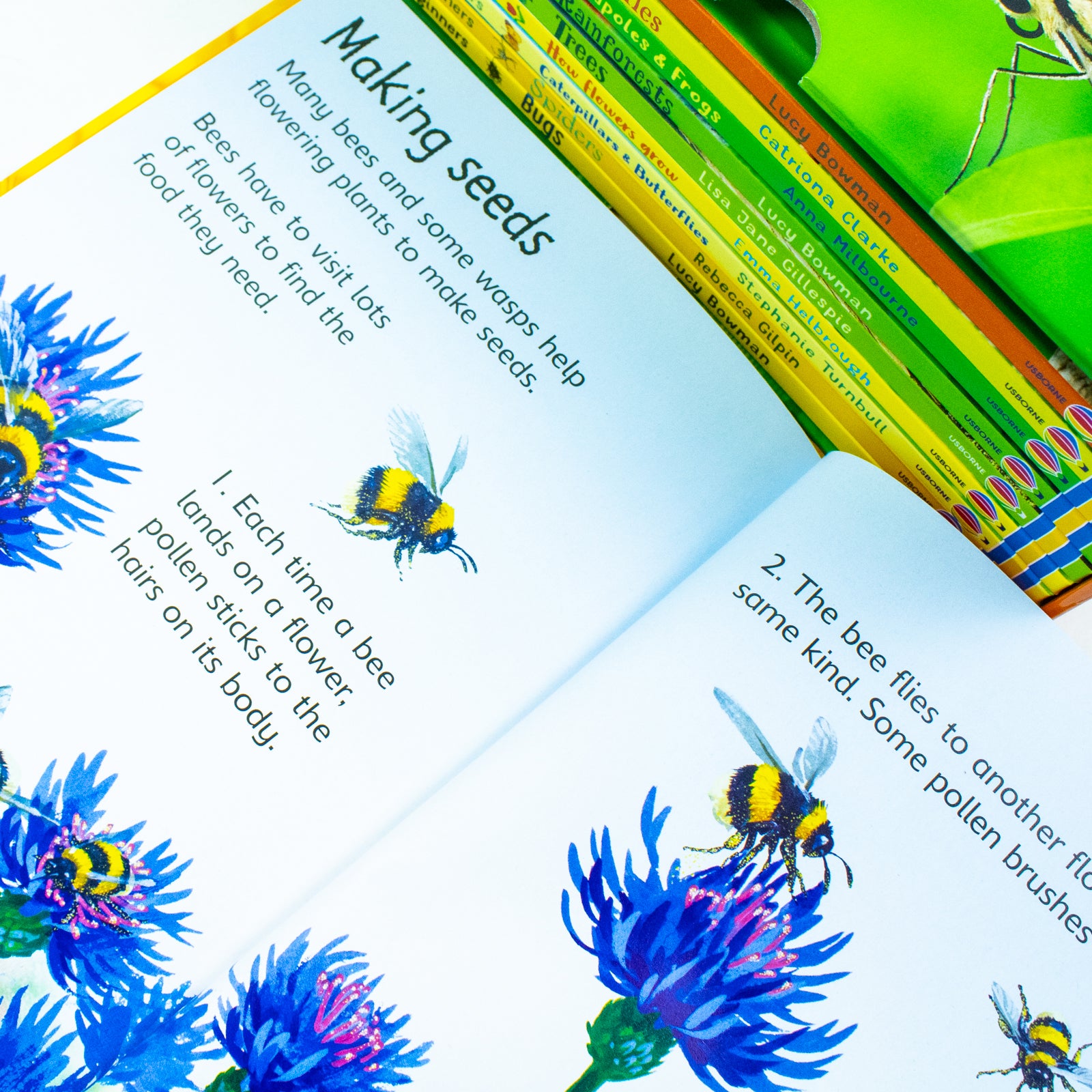 Usborne Beginners 10 Book Set Nature Non Fiction Hardcover — The