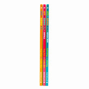 Lists for Curious Kids Collection 3 Books Box Set By Tracey Turner, Rachel Delahaye (Lists for Curious Kids, Human Body & Animals) - The Book Bundle