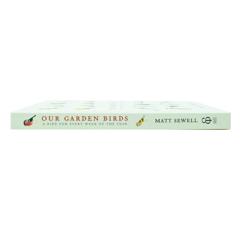 Illustration of various British garden birds from the book "Our Garden Birds" by Matt Sewell, showcasing colorful bird species.