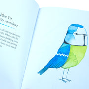 Illustrated cover of "Our Garden Birds" guide by Matt Sewell, featuring colorful British garden bird illustrations.