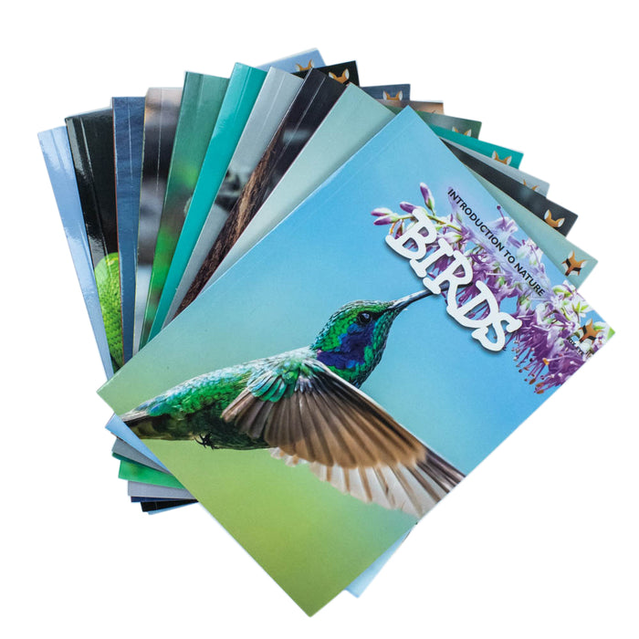 Children Introduction to Nature for Beginners 10 Books Collection Set (Bears, Big Cats, Birds) - The Book Bundle