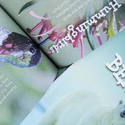 Children Introduction to Nature for Beginners 10 Books Collection Set (Bears, Big Cats, Birds) - The Book Bundle